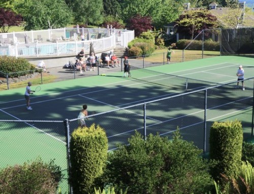Court Bookings for Tennis & Pickleball
