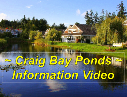 The Ponds of Craig Bay